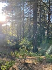 Cienega Road Big Bear CA 92315 | MLS #PW20178991 45 MLS #PW20178991 image #0