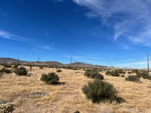 MLS #PW23206855 image #2