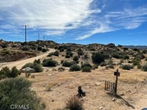 MLS #PW23206855 image #6