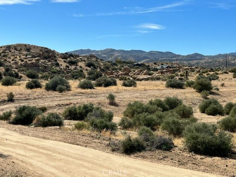MLS #PW23206855 image #3