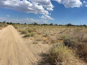 9757 Lebec Road Phelan CA 92371 | MLS #PW24210727 45 MLS #PW24210727 image #0