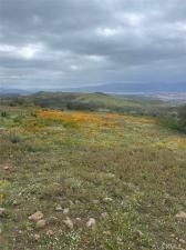 MLS #PW24243813 image #0