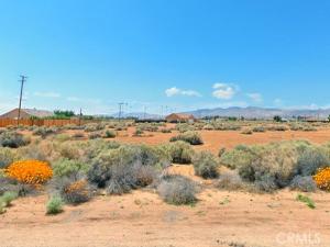 MLS #PW24252378 image #0