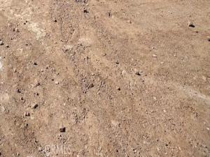 MLS #PW25049767 image #0
