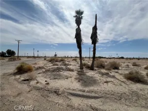 broker reciprocity
