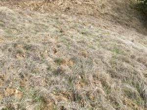 MLS #PW25069886 img 0