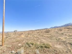 MLS #PW25106494 image #0