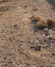 MLS #PW25109705 image #0