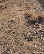 MLS #PW25109705 image #0