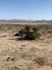 MLS #PW25133809 image #0