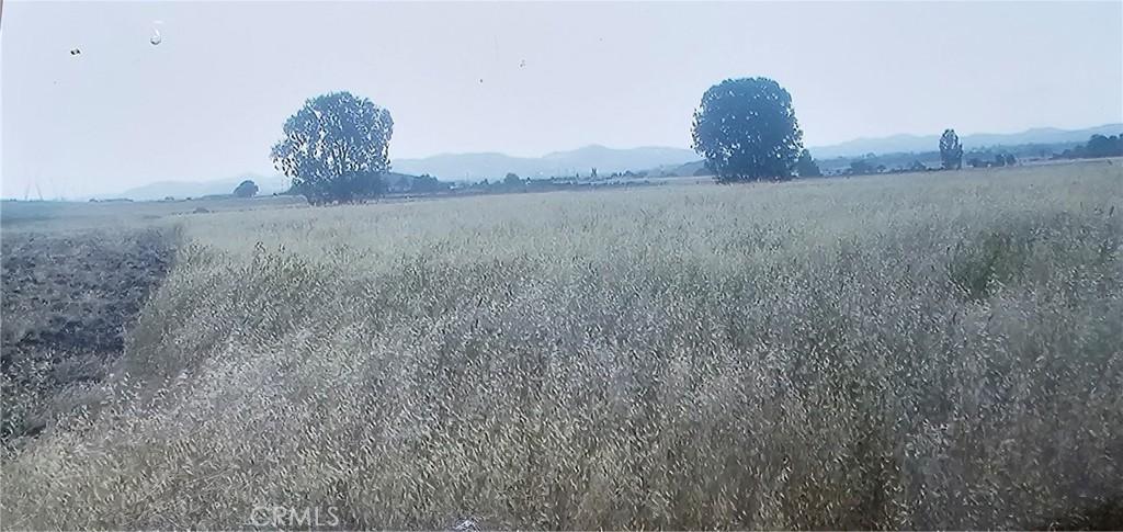 MLS #PW25136169 image #0