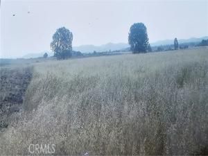 MLS #PW25136169 image #0