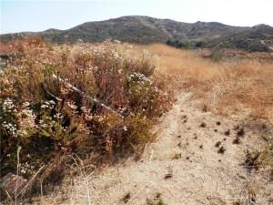 MLS #PW25172270 image #0