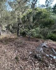 MLS #PW25185985 image #0