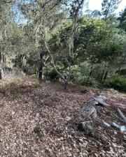 MLS #PW25185985 image #0