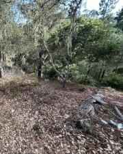 MLS #PW25185985 image #0