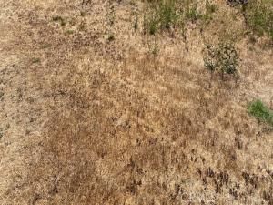 MLS #PW25223640 image #0