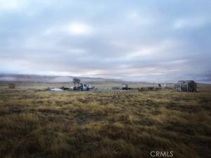 MLS #PW25236328 image #0