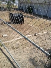 MLS #PW25242982 image #0