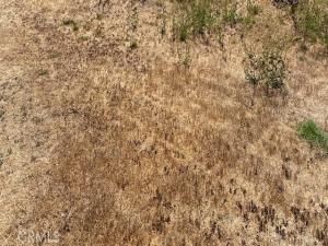 MLS #PW25258270 image #0