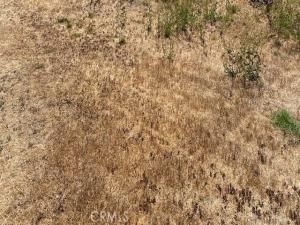 MLS #PW25258270 image #0