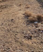 MLS #PW25258366 image #0