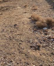MLS #PW25258366 image #0
