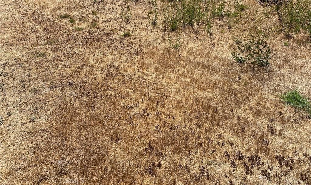 MLS #PW25276254 image #0