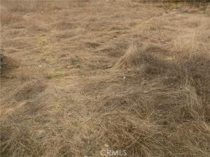 MLS #PW25276276 image #0