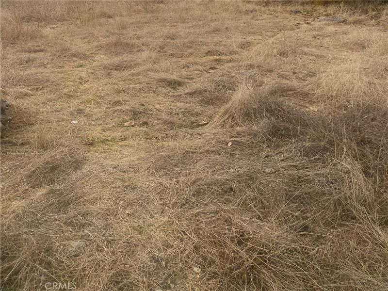 MLS #PW25276276 image #0