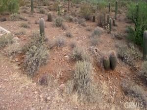 MLS #PW26004898 image #0