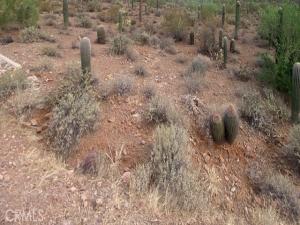 Vac/ Challenge WY Vic Ave # L Lot 25 Lancaster CA 93535 | MLS #PW26004898 9 MLS #PW26004898 image #0