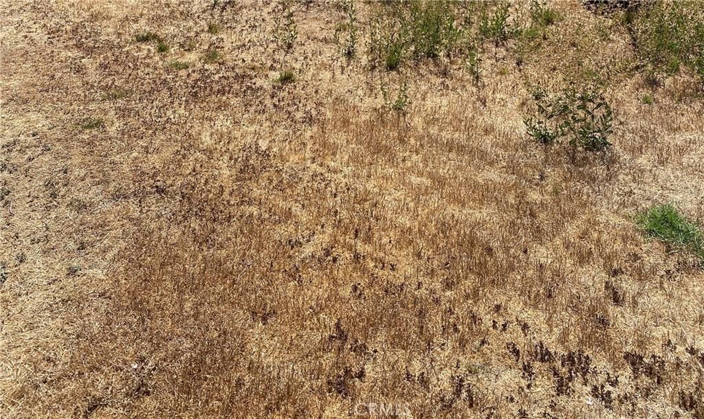 MLS #PW26016136 image #0