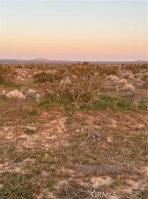 MLS #PW26027799 image #0