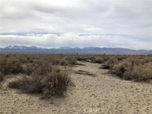 R8/Vic 142nd Street Sun Village CA 93543 | MLS #PW26028409 41 MLS #PW26028409 image #0