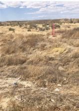 MLS #PW26029529 image #0