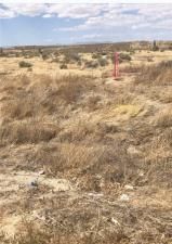 MLS #PW26029597 image #0