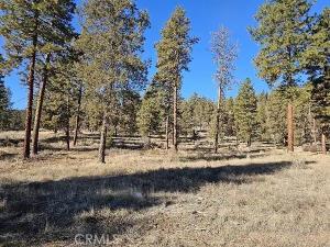 MLS #PW26037026 image #0