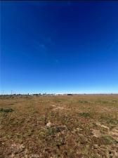 MLS #PW26040494 image #0