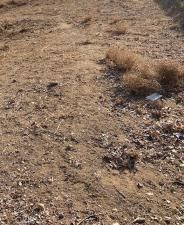 MLS #PW26040704 image #0