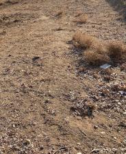 MLS #PW26040704 image #0