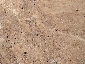 MLS #PW26066627 image #0