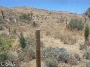 MLS #PW26069284 image #0
