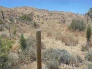 MLS #PW26069284 image #0