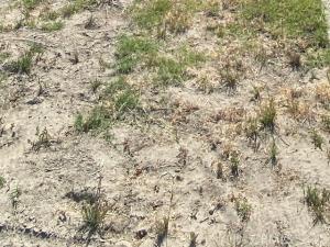 MLS #PW26078252 image #0