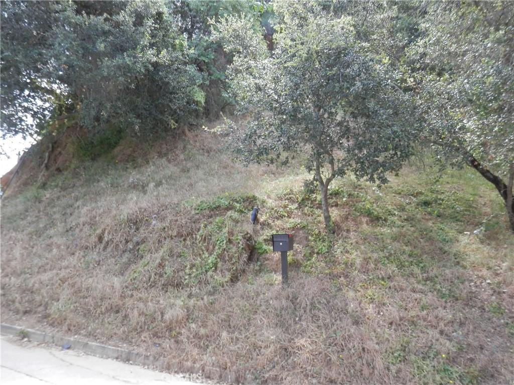 Wildwood Lot 173 Los Angeles CA 90041 | MLS #PW26088327 45 MLS #PW26088327 image #0