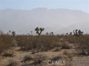broker reciprocity
