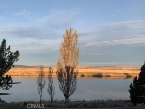 MLS #PW26104231 image #0
