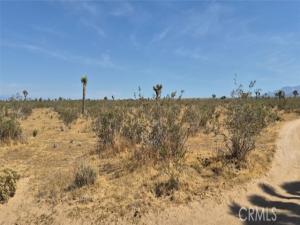 1 La Mesa Road Phelan CA 92371 | MLS #PW26122198 45 MLS #PW26122198 image #0