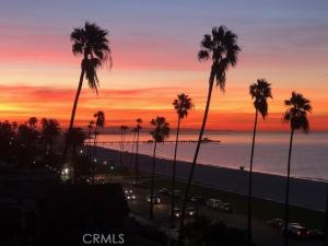 MLS #PW26127419 image #0